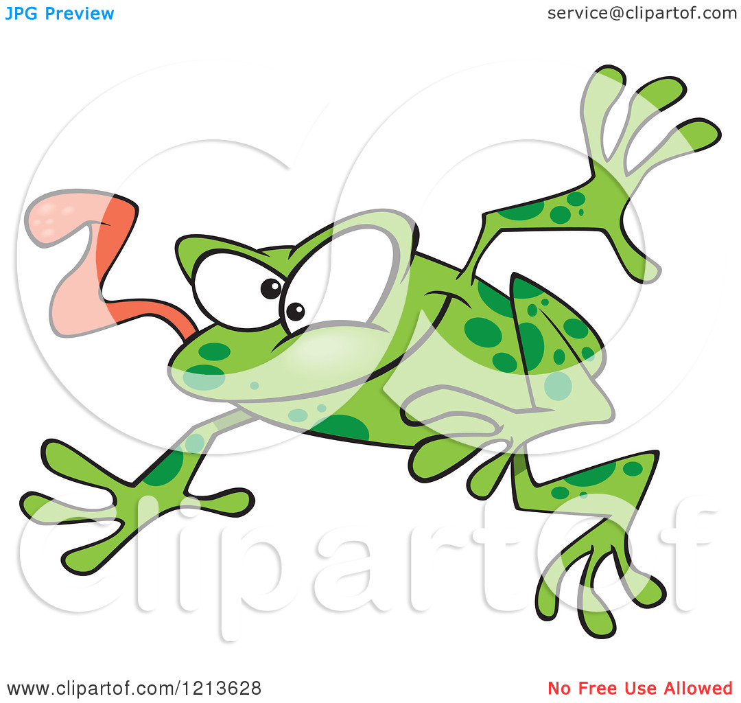 Of A Leaping Green Frog With His Tongue Hanging Out   Royalty Free