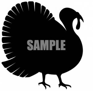 Black And White Turkey