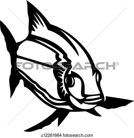 Clipart Of  Fish Animal Lake Whitefish Species U12281664   Search    