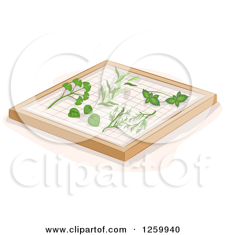 Clipart Of Herbs On A Drying Rack   Royalty Free Vector Illustration