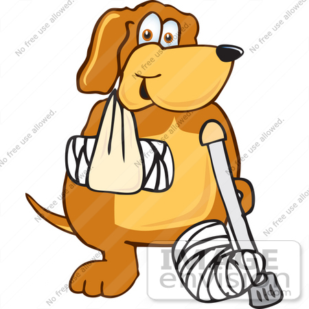     Dog Character With A Leg In A Cast Arm In A Sling And Using A Crutch