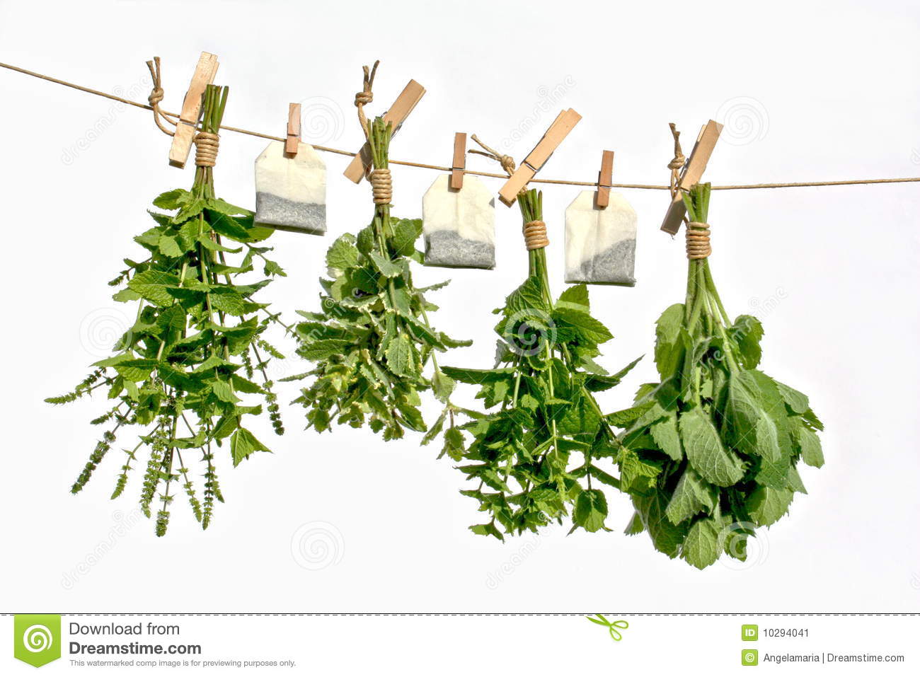 Drying Herbs Stock Image   Image  10294041
