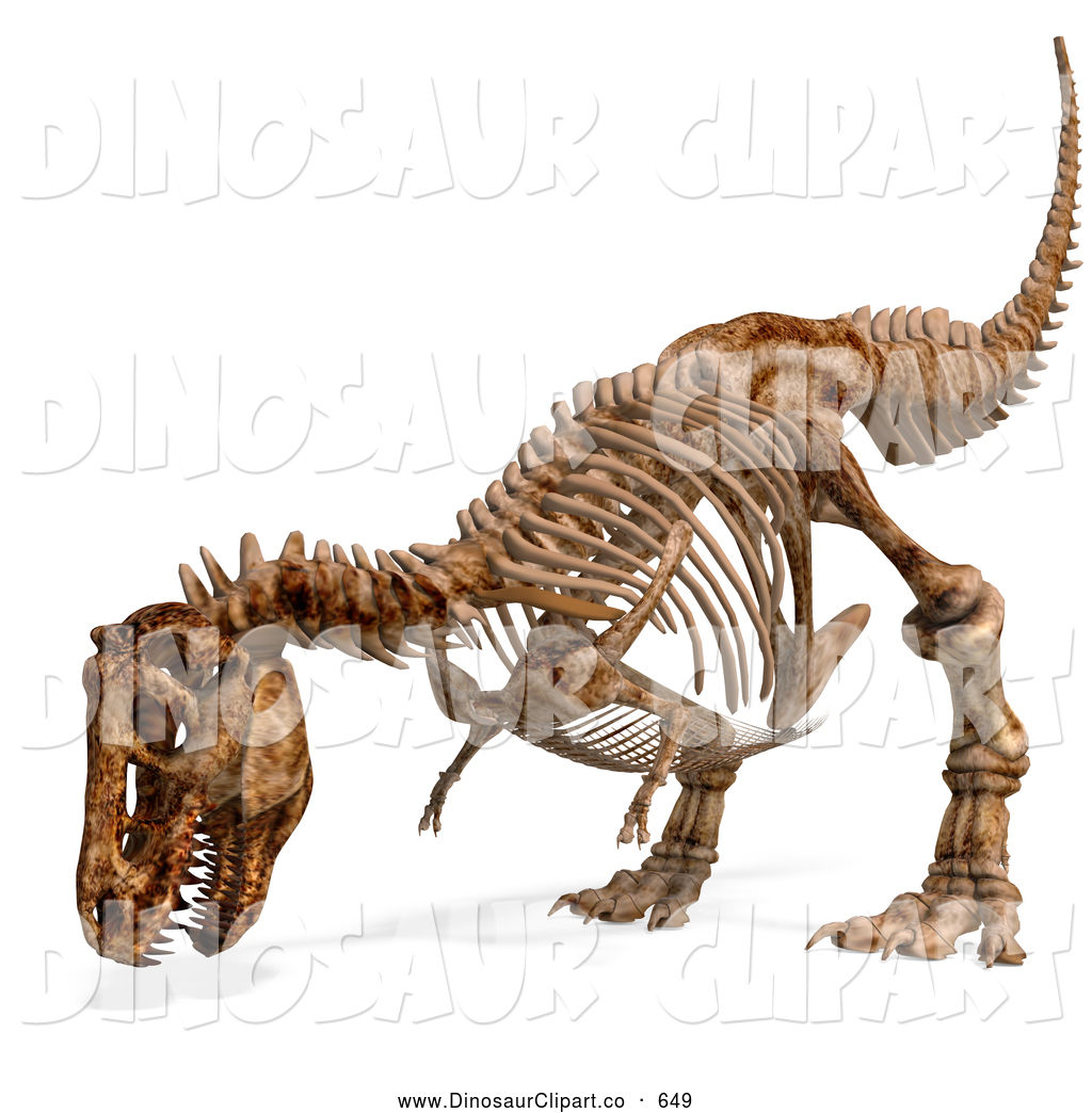 Friendly 3d Tyrannosaurus Rex T Rex Dinosaur Bones Skeleton By Ralf61