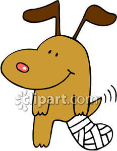 Happy Dog With An Injured Leg In A Bandage Royalty Free Clipart    