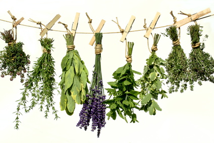 Herbs And Spices Are Nature S Precious Gift To Mankind