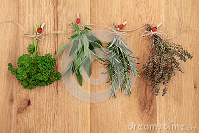 Herbs Drying Stock Photography   Image  32243842