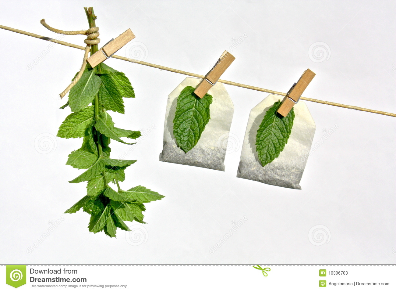 Leaves Of Several Herbs And Spices Drying On A Clothesline Including