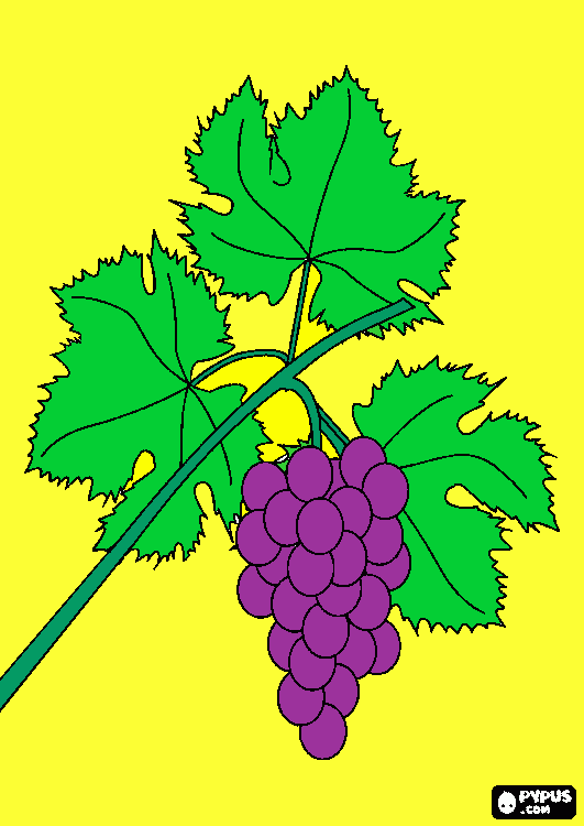 Vine And Branches Colouring Pages  Page 2