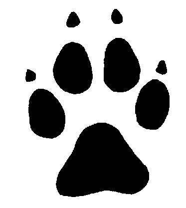 Wolf Paw Pwolf Paw Print Colouring Pages