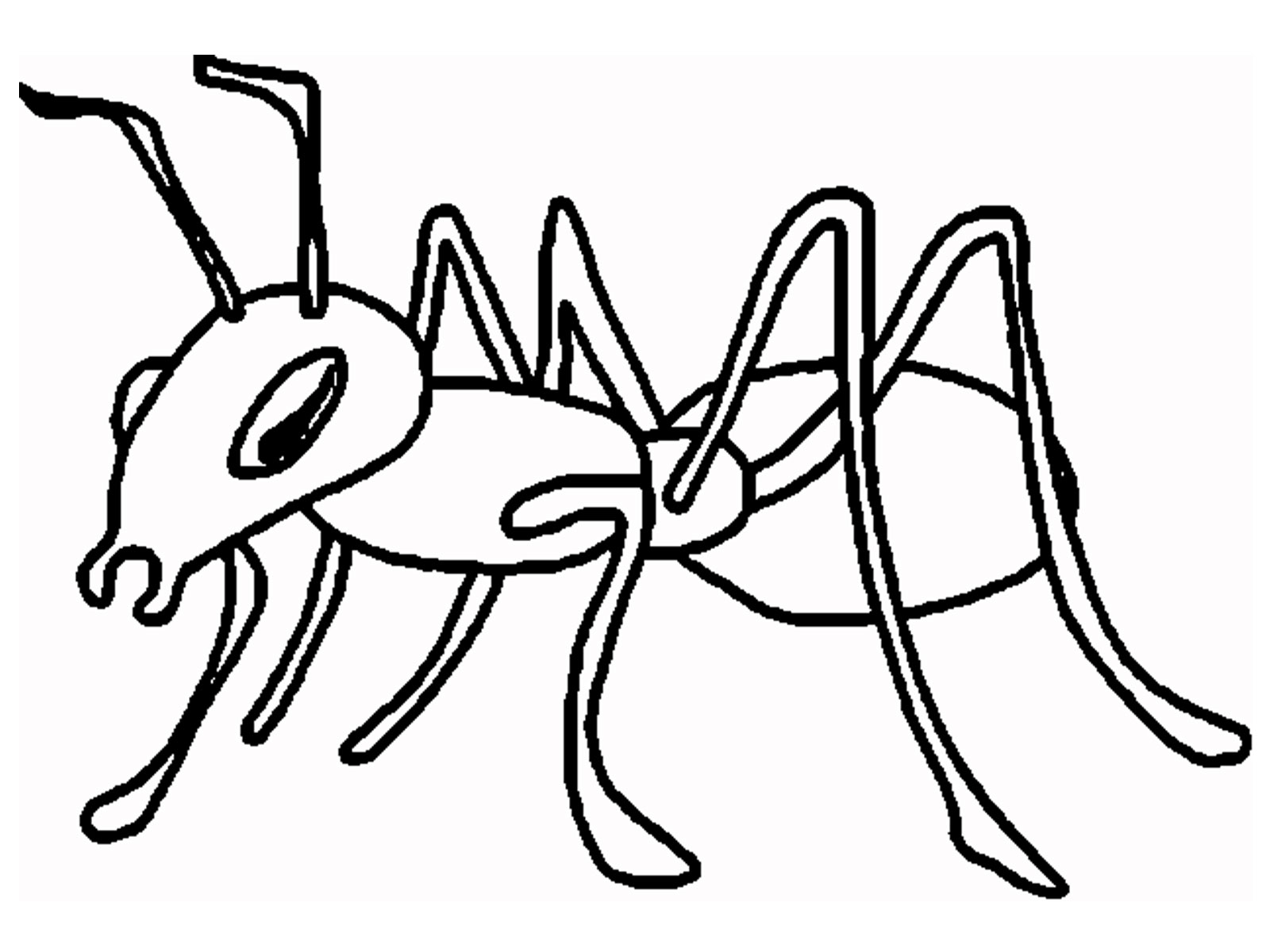 Ant Cartoon And Printable Ants Coloring Pages