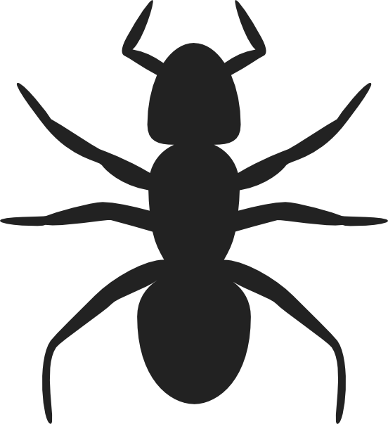 Ant Outline Template   Clipart Best