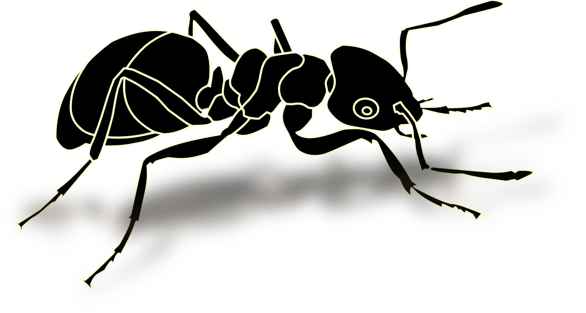     Black Ant Outlineinsect Vectorfree Psd   Clipart Best   Clipart Best