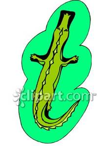 Crocodile Floating In Water   Royalty Free Clipart Picture
