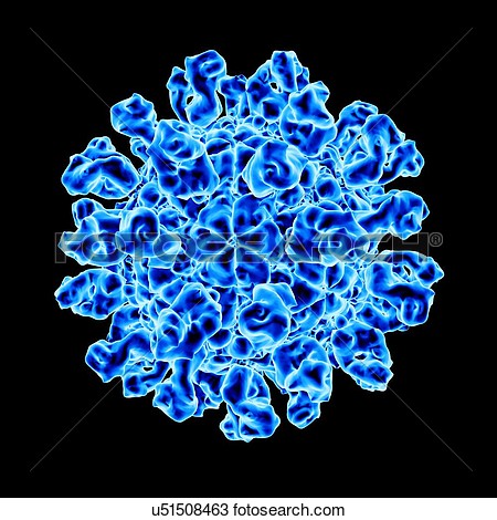 Drawing   Foot And Mouth Disease Virus Computer Artwork   Fotosearch