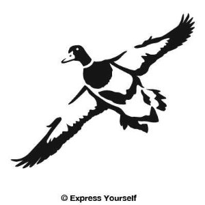 Flying Mallard Duck Clip Art