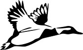 Flying Mallard Duck Clipart 18699876 Flying Wild Duck Jpg