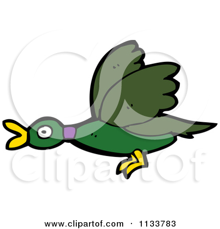 Flying Mallard Duck Clipart   Clipart Panda   Free Clipart Images