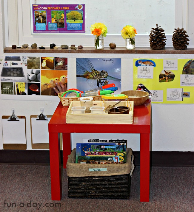 Insects And Plants In The Preschool Science Center   Fun A Day 