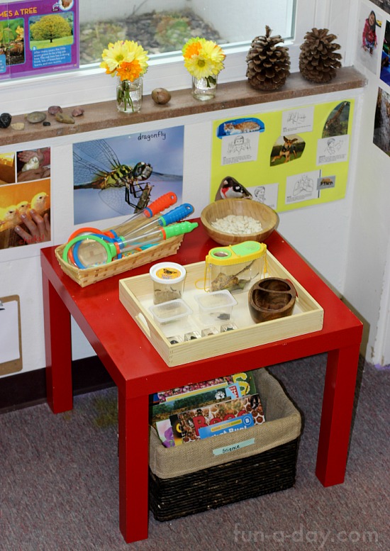 Look At Setting Up A Preschool Science Center With An Insect And    