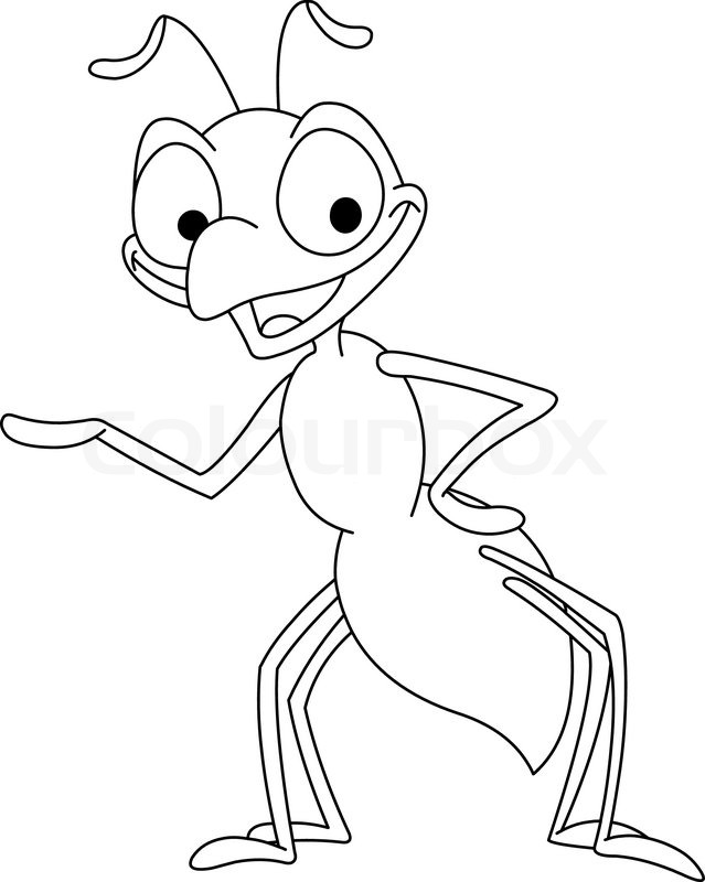 Outlined Ant   Vector   Colourbox