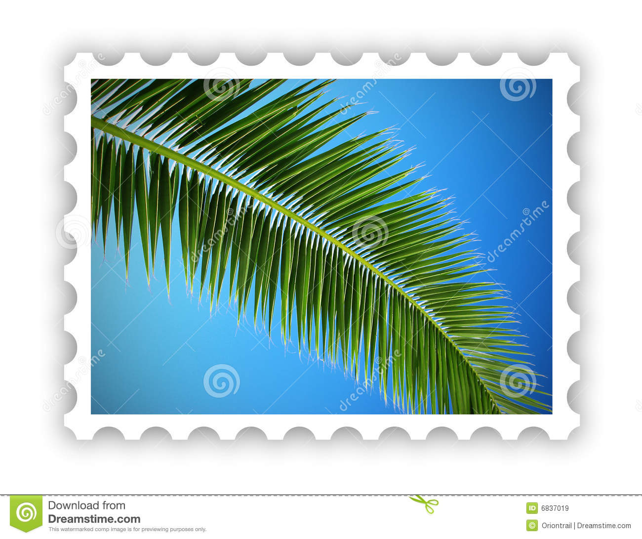 Tropical Palm Postage Stamp Royalty Free Stock Images   Image  6837019