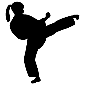 Fanfic Coisas De Menina  Karate Estilo Shotokan