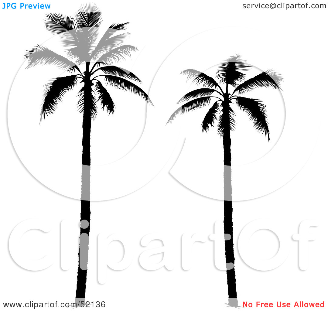 Free Palm Tree Free Clipart Silhouette Royalty Free Rf Clipart    