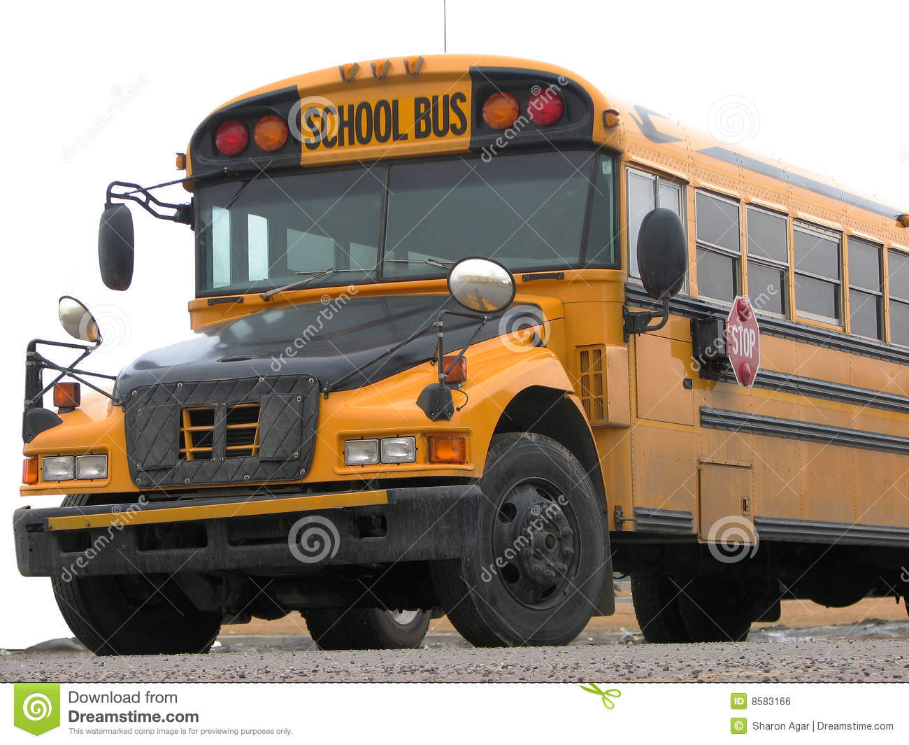 Just The Picture Of The Front End Of A School Bus On Pavement With A    