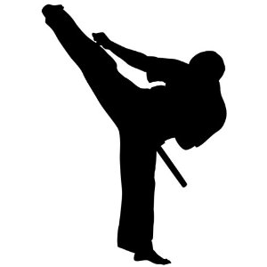 Karate Silhouette   Clipart Best
