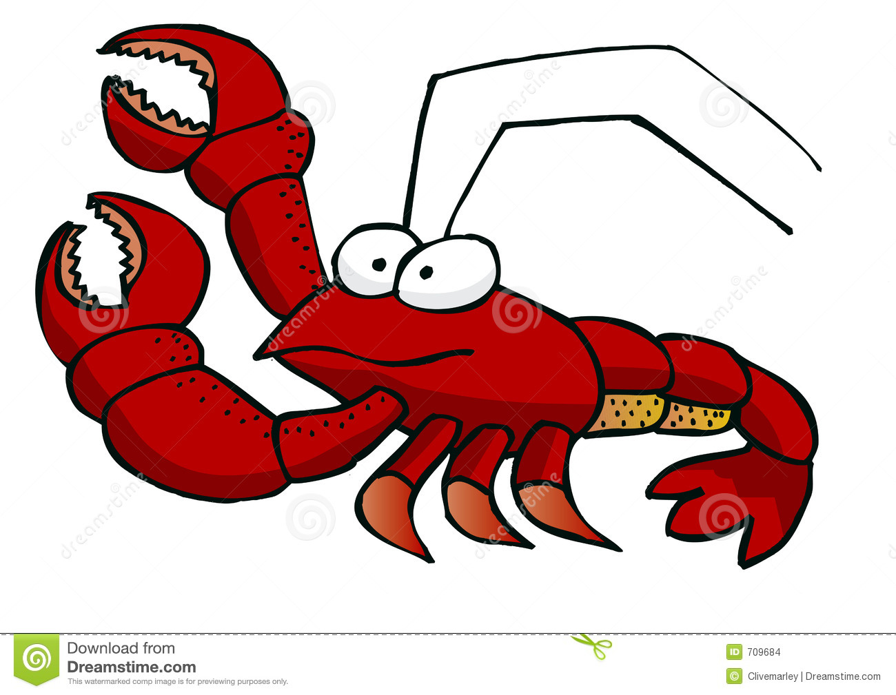 Lobster Stock Images   Image  709684