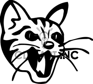 Up Of Angry Kitten With Open Mouth Clipart Image Picture Art   130952