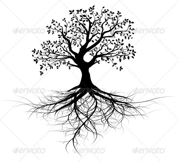 Vector Tree With Roots Silhouette Black Outline   Nature Conceptual