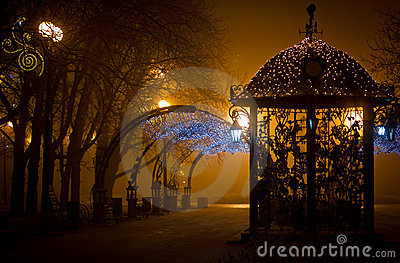 City Park At Night In The Fog Royalty Free Stock Image   Image