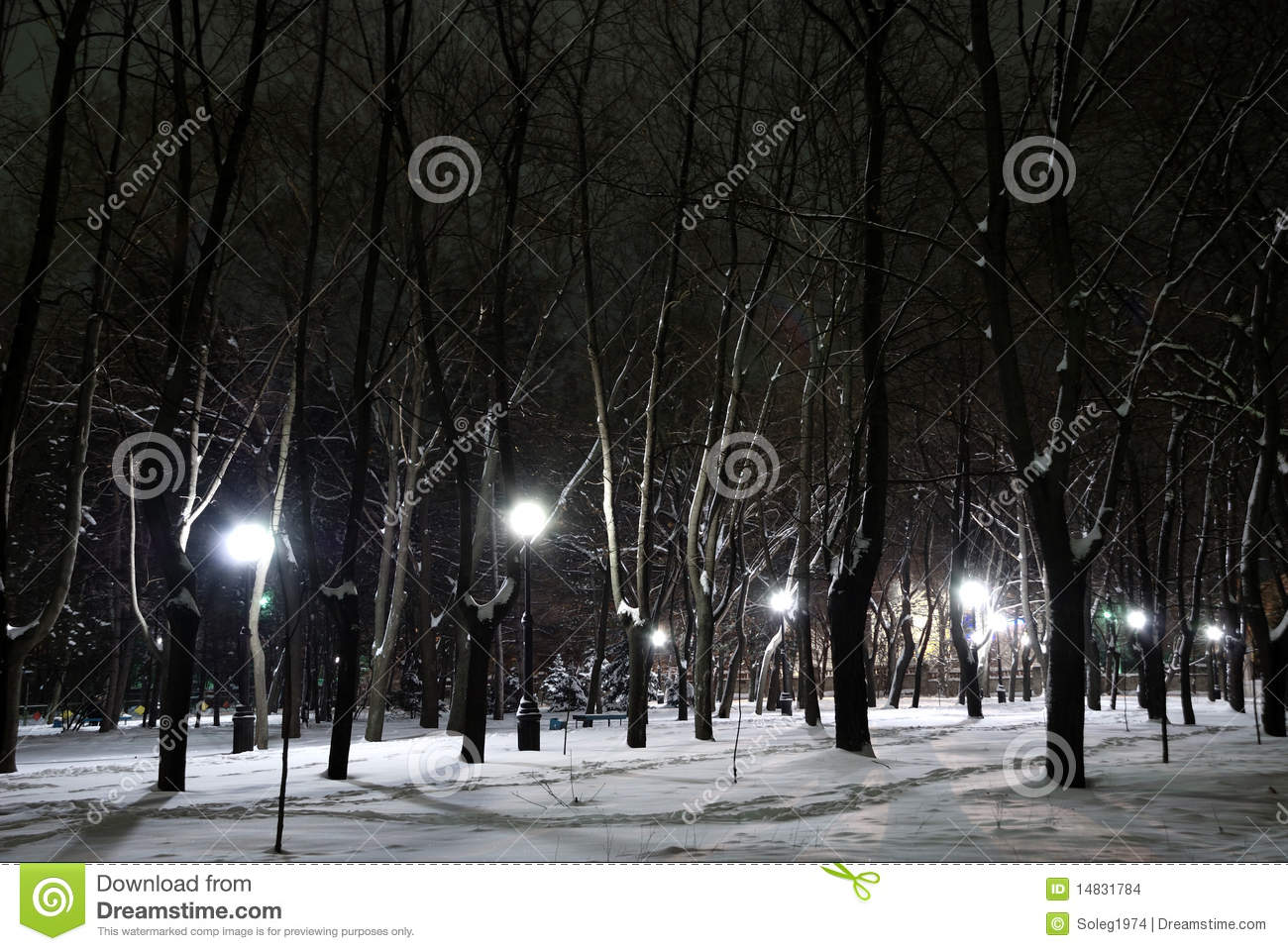 City Winter Park At Night Stock Images   Image  14831784