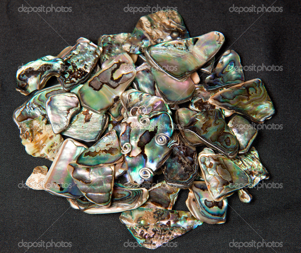 Pile Of Jewelry Pile Of Paua Shells   Stock