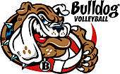 Bulldog With Volleyball   Clipart Graphic