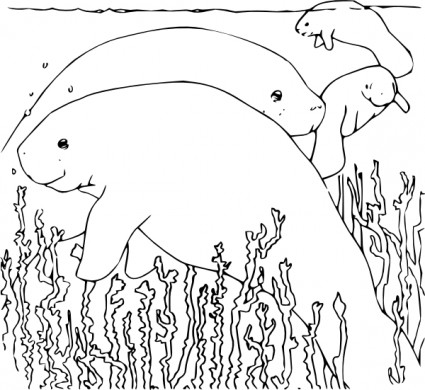 Coloring Book Manatee Clip Art Free Vector In Open Office Drawing Svg    