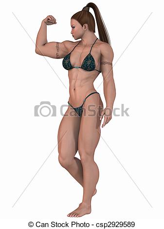 Female Bodybuilder Csp2929589   Search Vector Clipart Drawings