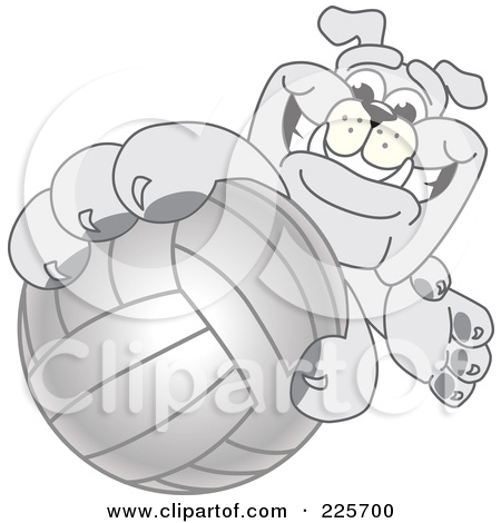 Royalty Free  Rf  Clipart Illustration Of A Gray Bulldog Mascot