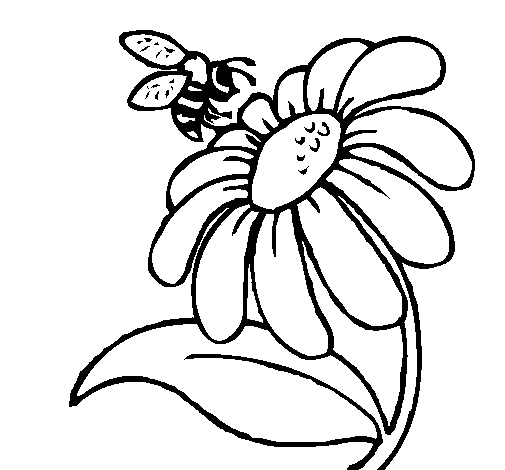 Bee And Flower Drawing   Clipart Panda   Free Clipart Images