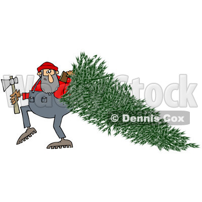 Clipart Of A Lumberjack Man Pulling A Fresh Cut Christmas Tree
