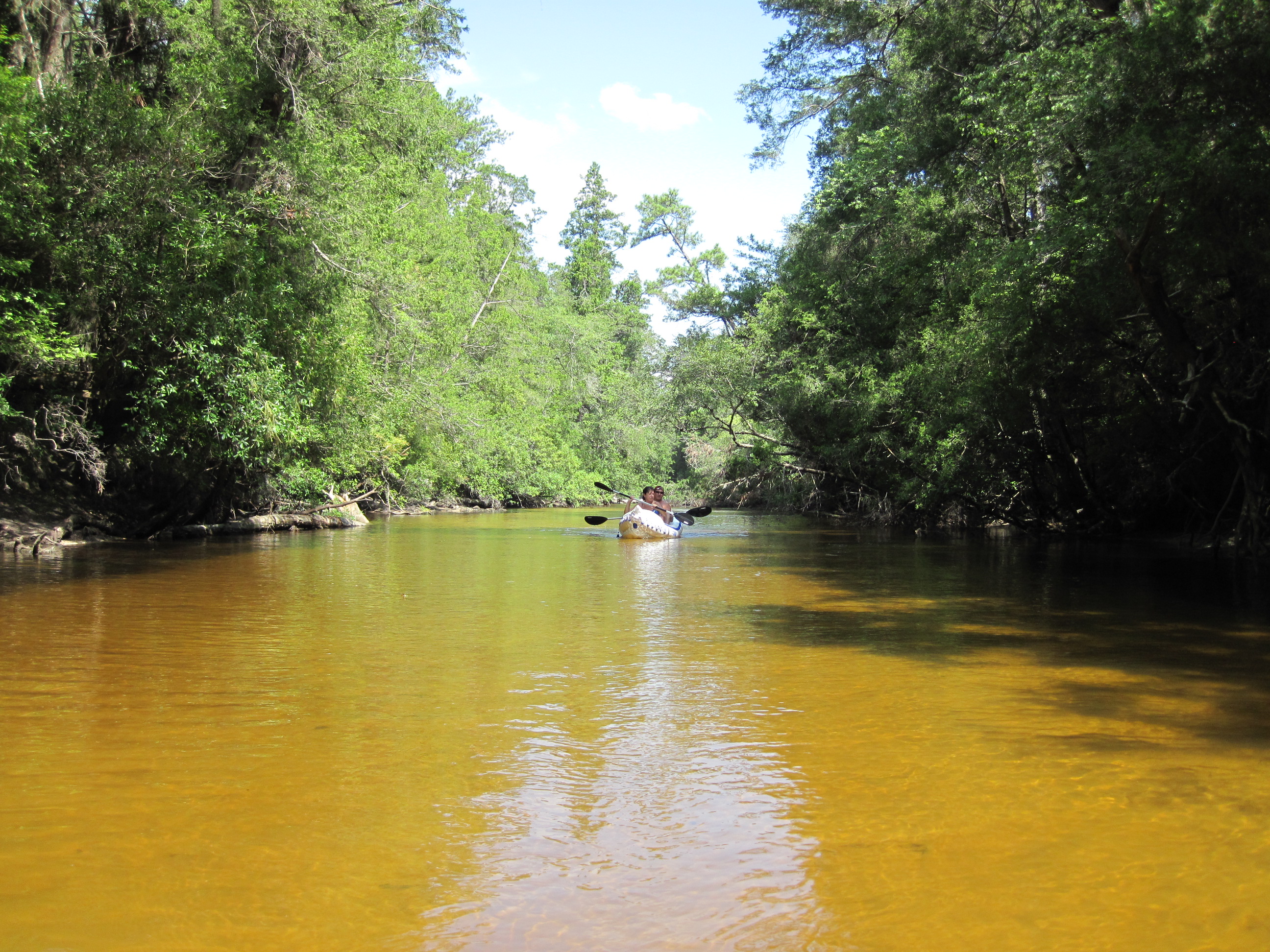 Float Trip On One Of Florida S Premiere Rivers Blackwater River