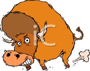 Raging Bull   Royalty Free Clipart Picture