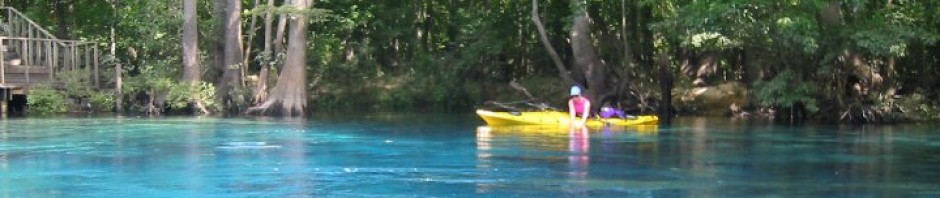 Sisters Springs In Crystal River   Northwest Florida Outdoor Adventure