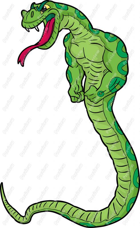 Snake Clip Art   Snake Mascot   Cartoon