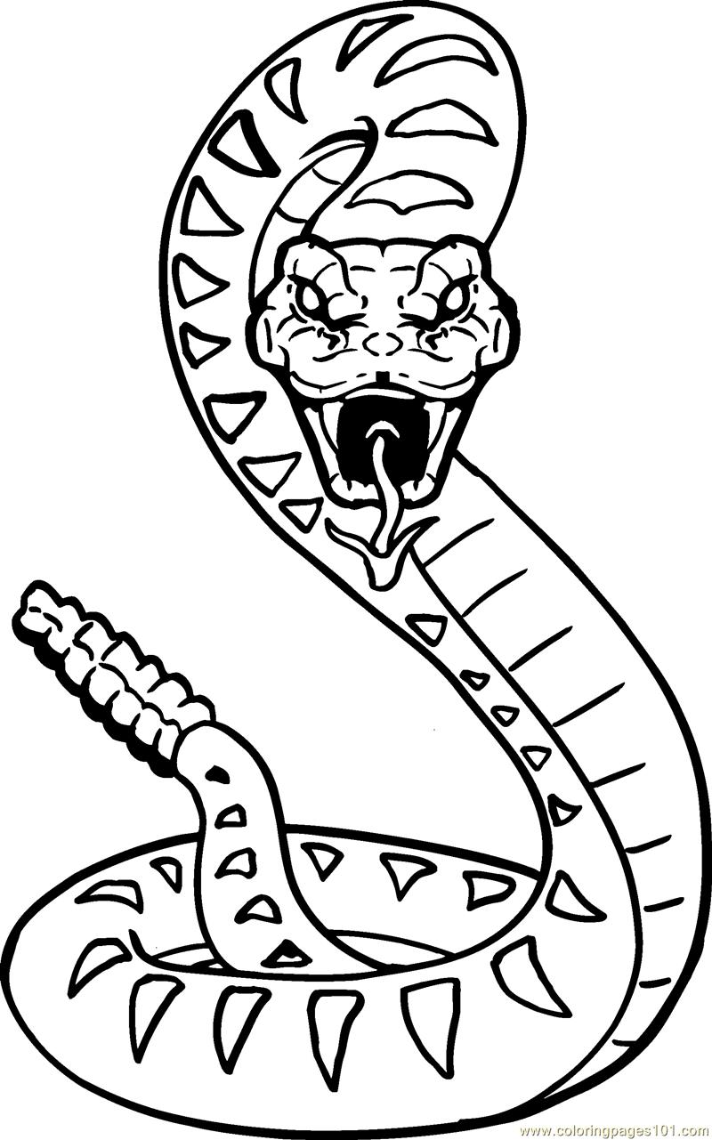 Snake Coloring Pages   11 Free Reptiles Coloring Pages   Online  