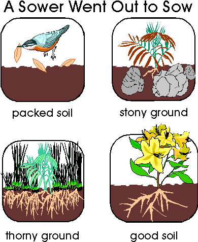 Told What The Parable Means  He Said That The Different Types Of Soil