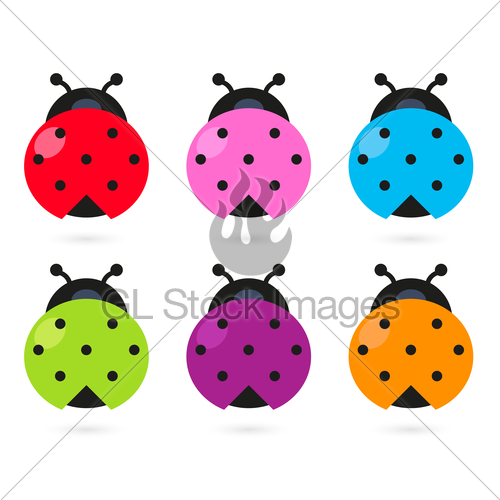 Cute Colorful Ladybug Set Isolated On White   Gl Stock Images