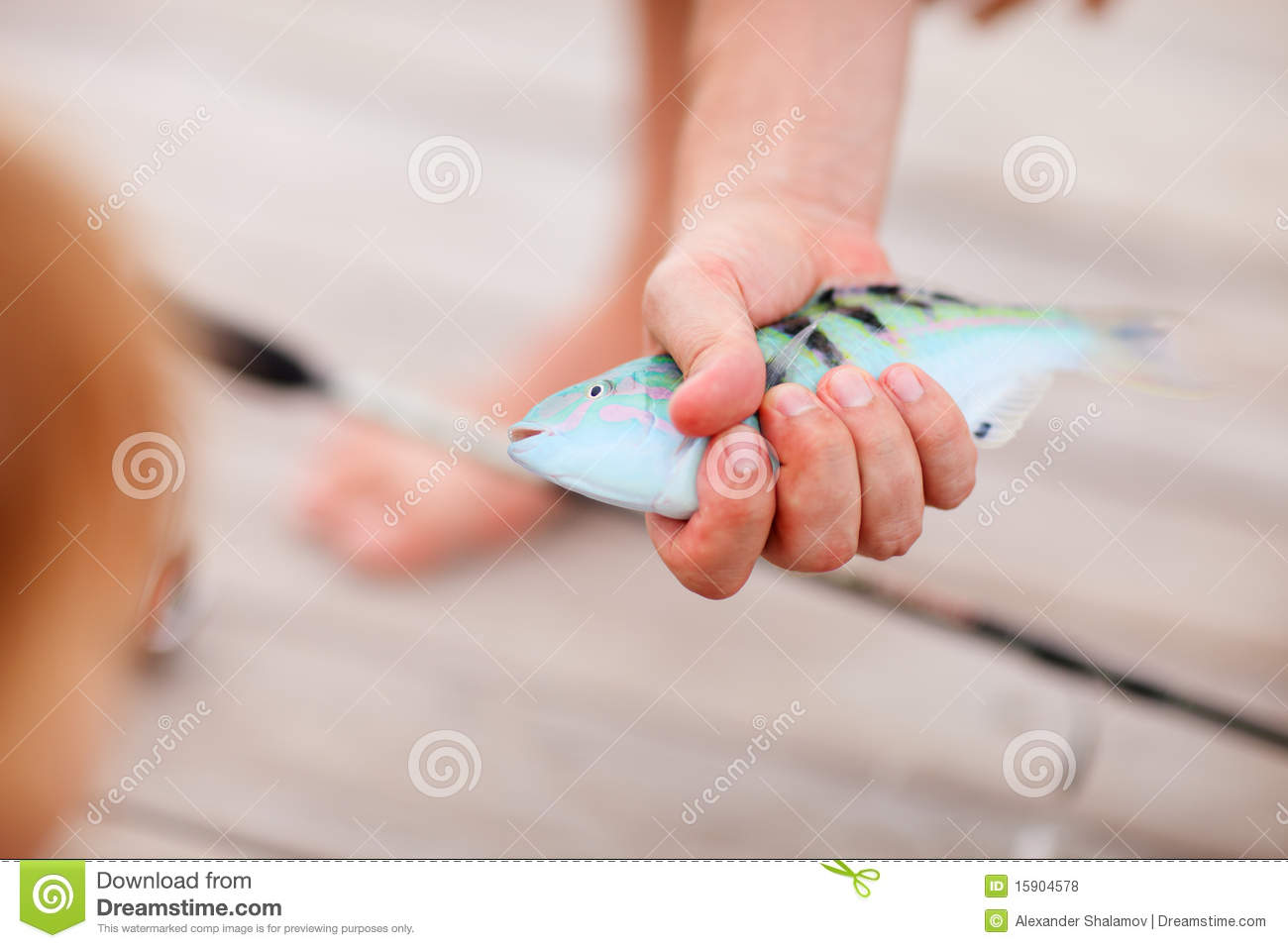 Fisherman Holding Fish Royalty Free Stock Photos   Image  15904578