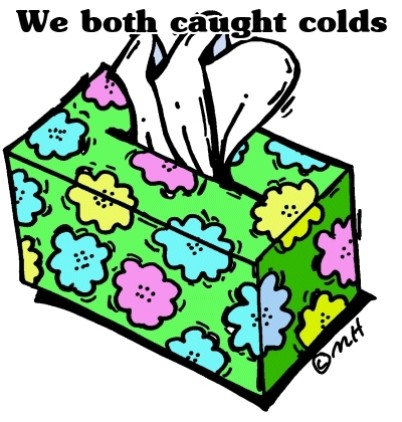 Flu Cold Free Clipart   Cliparthut   Free Clipart